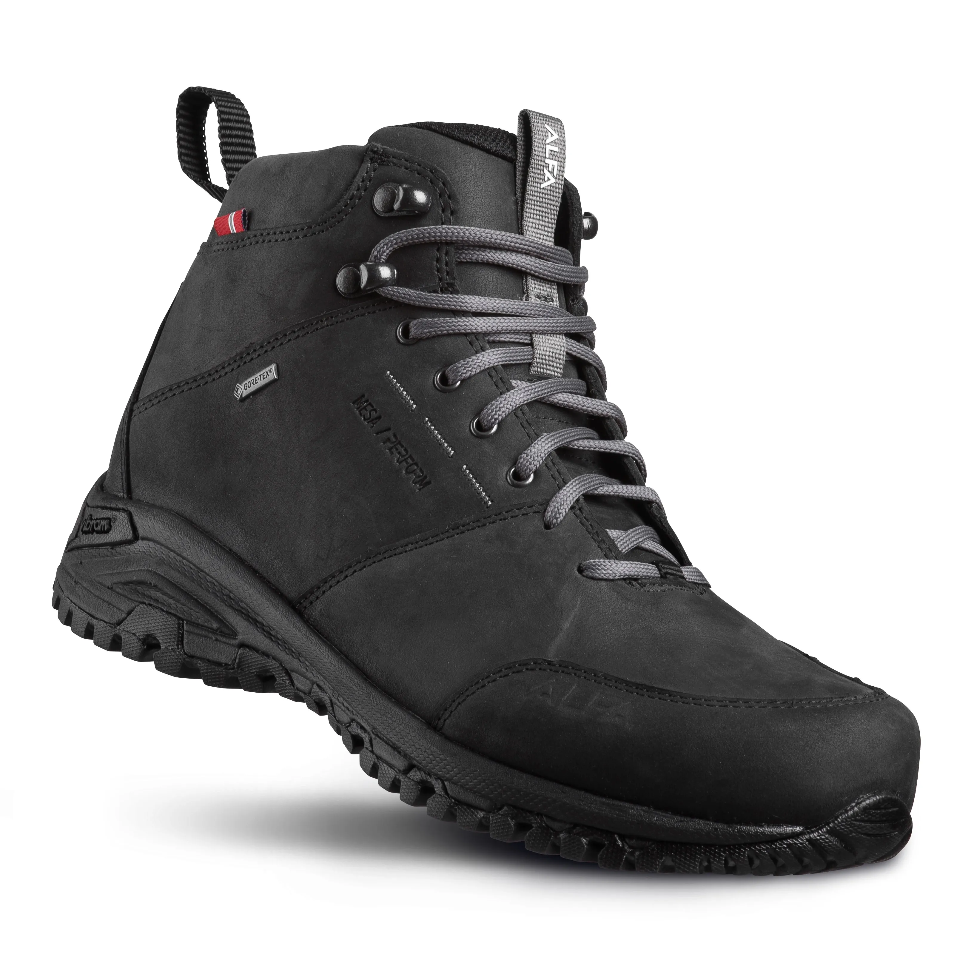 Alfa Men's Mesa Perform Gore-Tex