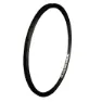 Alienation Ankle Biter Race Felg, Black, 20" 36H