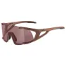Alpina Hawkeye Q-lite Solbriller, Brick matt, Black Red Mirror/CAT3
