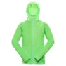 Neon green gecko