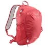 Altus Cirque 20l Sekk