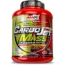 Amix Carbojet Mass Professional Karbohydratpulverdrikk Ville Bær 3kg, Red / lime, One Size
