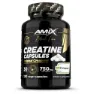 Amix Creapure® Kreatinkapsler 120 Kapsler, One size