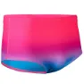 Aqua Sphere Essential 14 Cm Brief Badetrusser male
