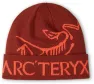 Arc'teryx Bird Word Toque, Sequoia/solaris