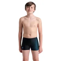 arena Dim Light Badeshorts Boxer male arena Dim Light Badeshorts Boxer male