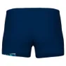 arena Dreamhline Badeshorts Boxer male