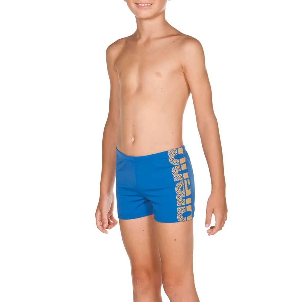 arena Equilibrium Badeshorts Boxer male, Royal / lily, 12MON-3Y