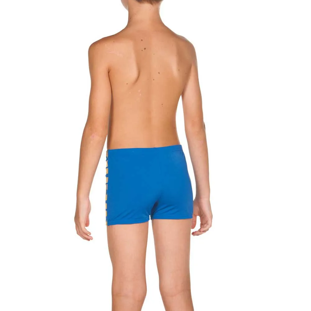 arena Equilibrium Badeshorts Boxer male, Royal / lily, 12MON-3Y