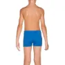 arena Equilibrium Badeshorts Boxer male, Royal / lily, 12MON-3Y