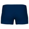 arena Foggy Dots Badeshorts Boxer male