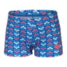 arena Friends Allover Badeshorts Boxer 15 Cm male