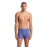 arena Graphic Badeshorts Boxer male
