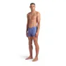 arena Graphic Badeshorts Boxer male