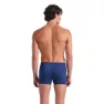 arena Trail Badeshorts Boxer male