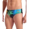 arena Vibrant Badetrusser male