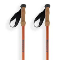 Arva Nepal 3 Parts Powerlock Cork Grip Spaserstokker