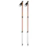 Arva Nepal 3 Parts Powerlock Cork Grip Spaserstokker