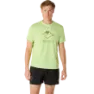 Lime green/huddle yellow/cactus
