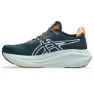 Asics Gel-nimbus 27 Tr Løpesko male
