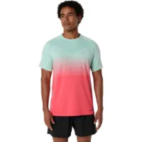 Asics Herre Top Seamless SS Asics Herre Top Seamless SS