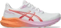 Asics Men's Gt-1000 13 Tr
