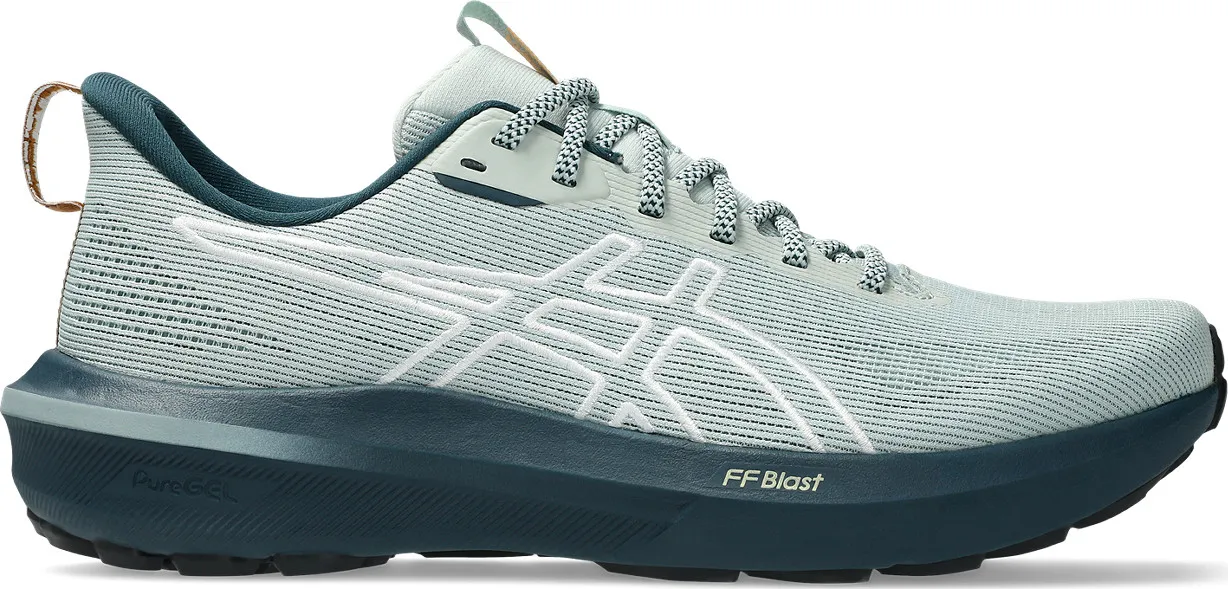 Asics Men's GT-1000 14 TR