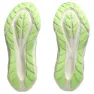 Asics Men's Novablast 5 Tr Nature