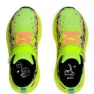 Asics Pre Noosa Tri 16 Ps Løpesko male