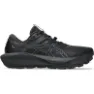 Black/graphite grey