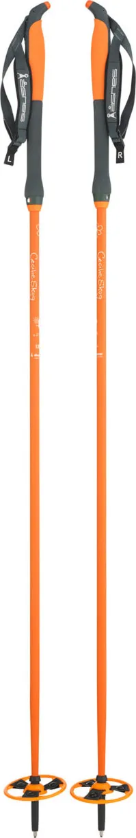 Åsnes Cecilie Alloy Pole