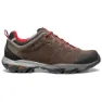 Dark brown / frostgrey