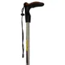 Asolo Walker Ql100 Spaserstokker, Black / grey, 55-100cm