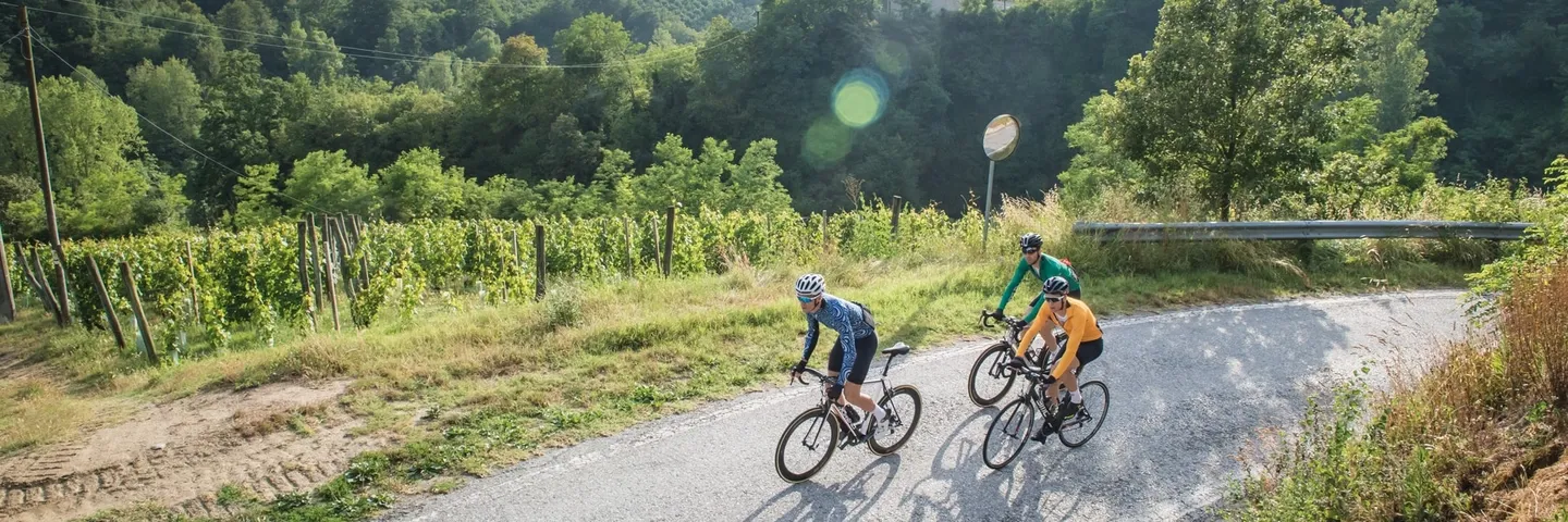 ASSOS Mille GT Summer LS Sykkeltrøye, Blå ASSOS Mille GT Summer LS Sykkeltrøye, Blå