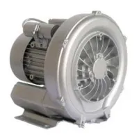 Astral 47181 1.3-1.5 Kw Turboblåser Designet For Luftblåsing I Boblebad unisex