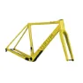 Yellow castilla