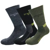 Avignon Unisex Terry Wool 3-Pack
