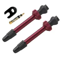 Barbieri 45mm Slangeløse ventiler, 2pk Barbieri 45mm Slangeløse ventiler, 2pk