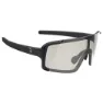 BBB Chester Foto Kromatiske Solbriller, Glossy black, Smoke/CAT0-3