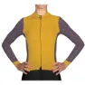 Mustard / merlot