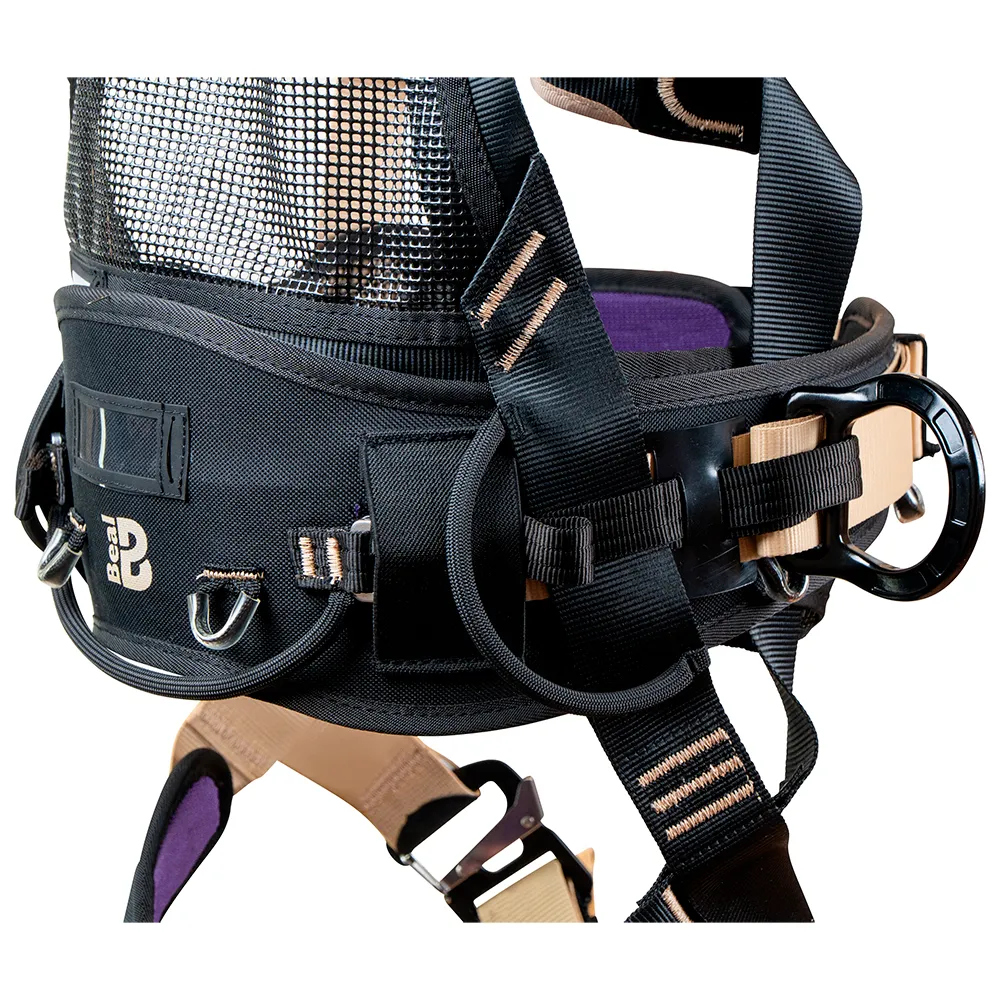 Beal Styx Fast Komplett Sele, Purple, One Size Beal Styx Fast Komplett Sele, Purple, One Size