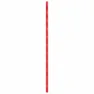 Beal Wall Cruiser 9.6 Mm Tau