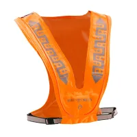 Bee Safe LED Vest USB Bee Safe LED Vest USB