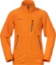 Cloudberry yellow