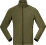Dark olive green