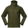 Dark olive green 1
