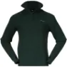 Dark green mud