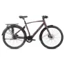 BH Bikes Core Cross Pro Bhz 700c Alfine 2025 Elektrisk Sykkel, Elsykkel