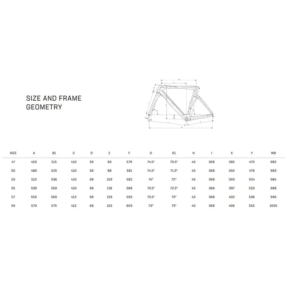 Bianchi Oltre Pro Disc 2023 Road Frame Bianchi Oltre Pro Disc 2023 Road Frame