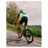 Bicycle Line Stelvio Vest
